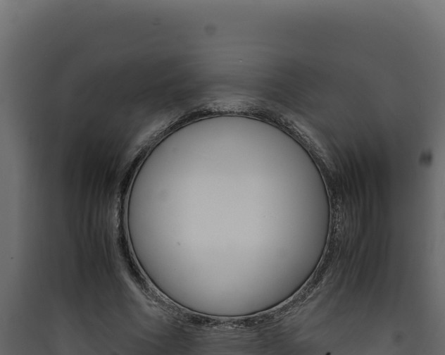 X0000090430586200707131010