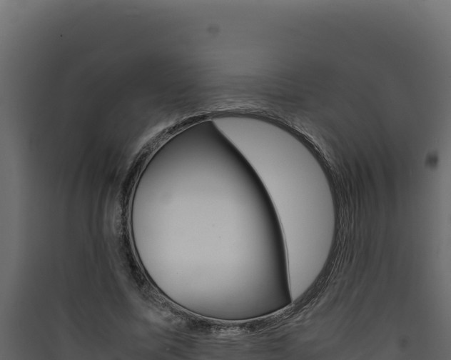 X0000090430587200707131010