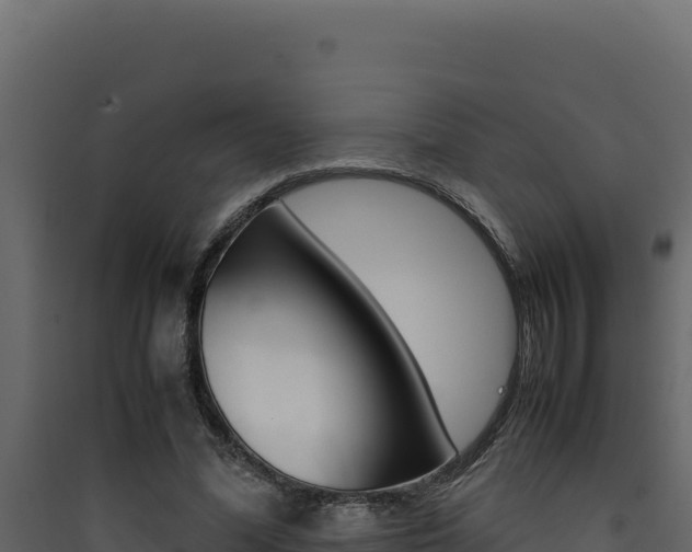 X0000090430588200707131010