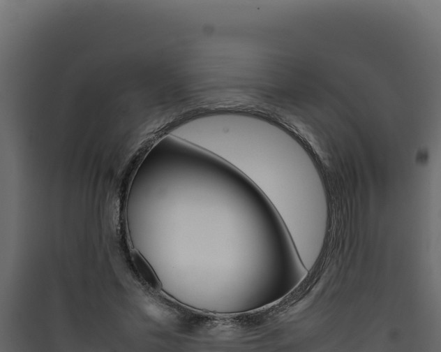 X0000090430589200707131010