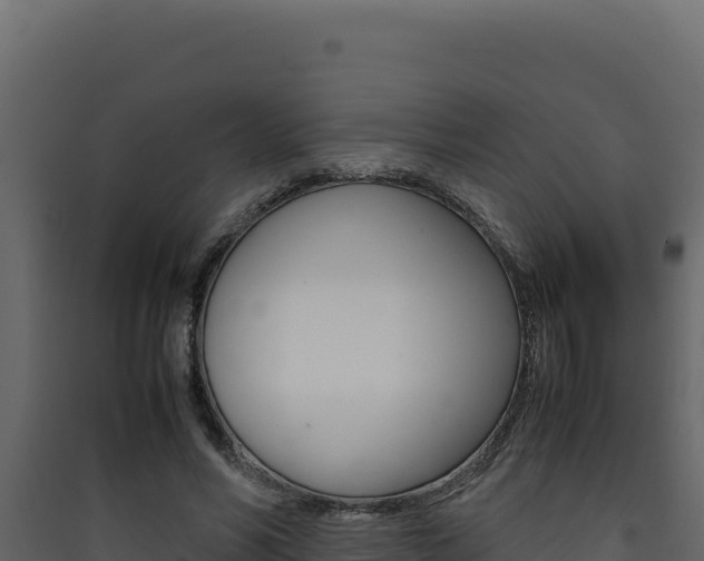X0000090430590200707131010
