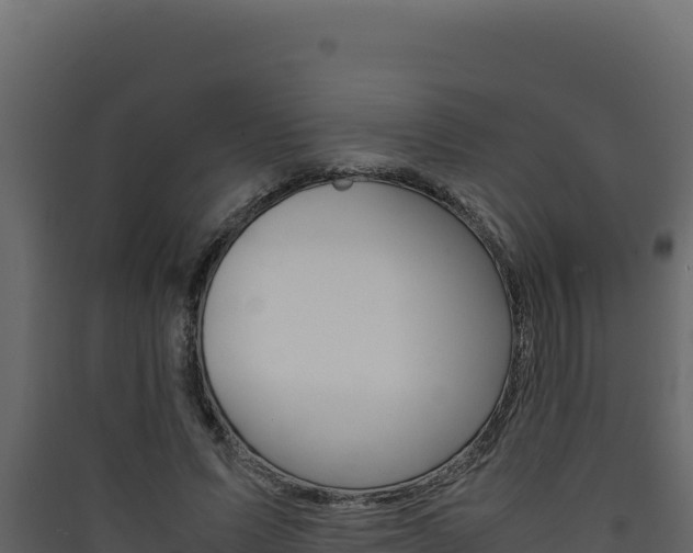 X0000090430591200707131010