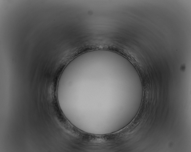 X0000090430594200707131010