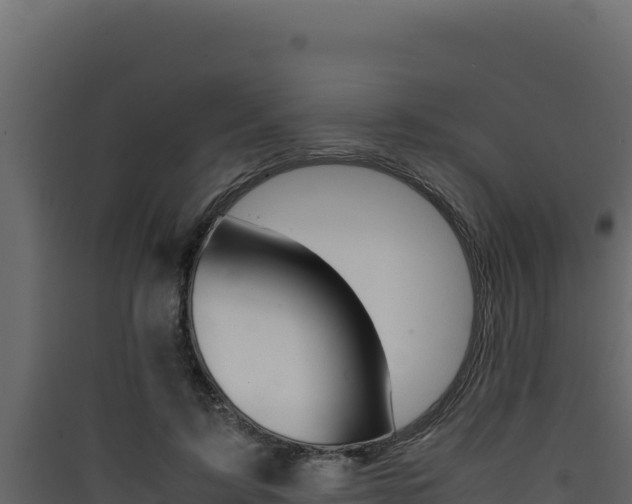 X0000090430595200707131010