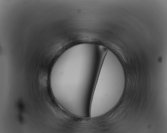 X0000090430596200707131010