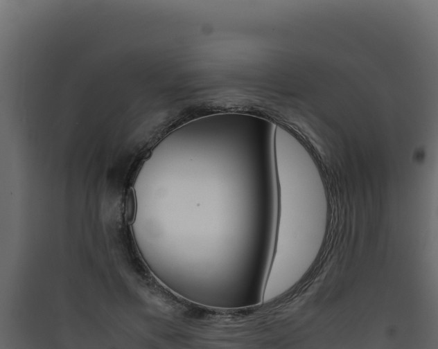 X0000090430597200707131010