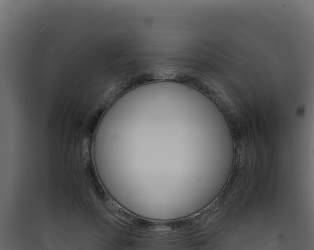 X0000090430598200707131010