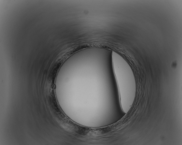 X0000090430599200707131010