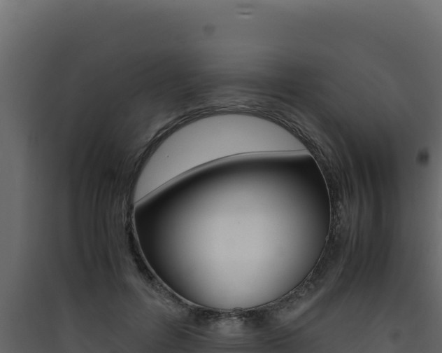 X0000090430600200707131010