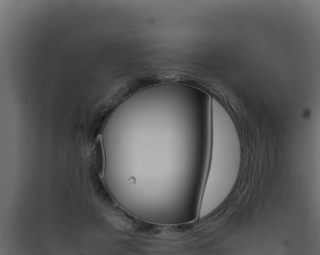 X0000090430601200707131010