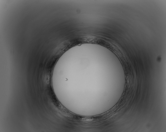 X0000090430602200707131010