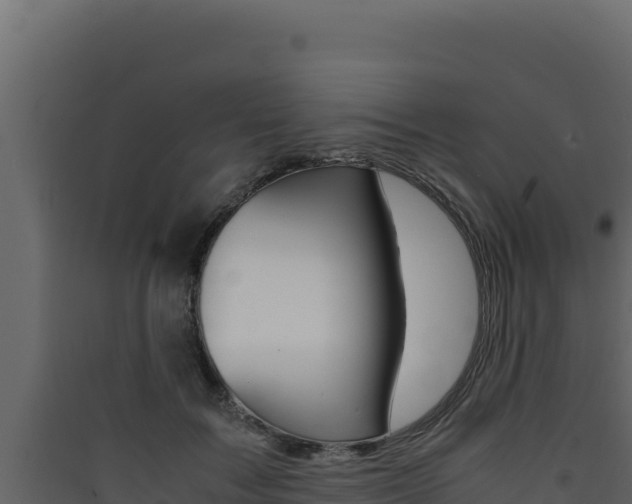 X0000090430603200707131010