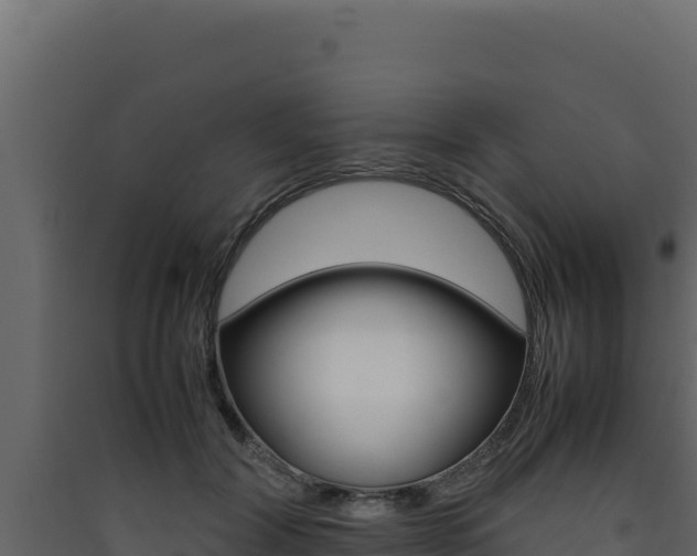 X0000090430604200707131010