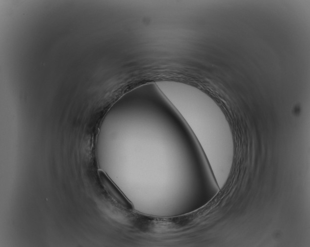 X0000090430605200707131010