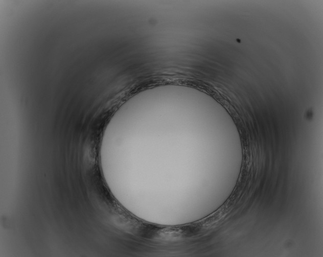X0000090430606200707131010