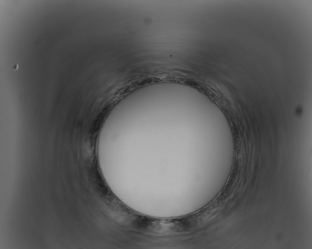 X0000090430607200707131010