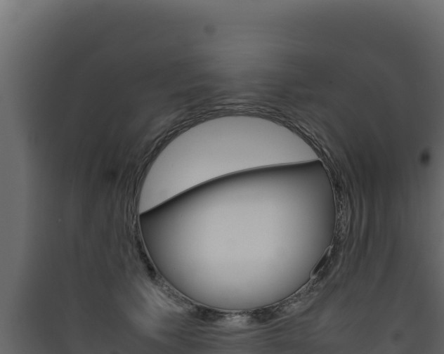 X0000090430609200707131010