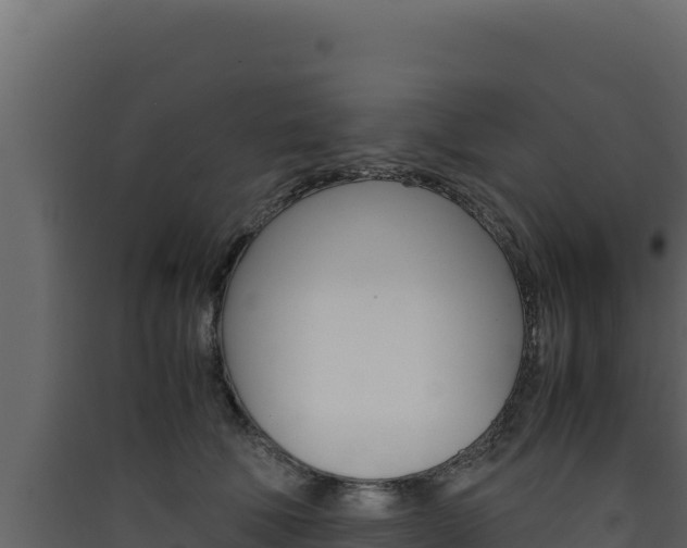 X0000090430610200707131010