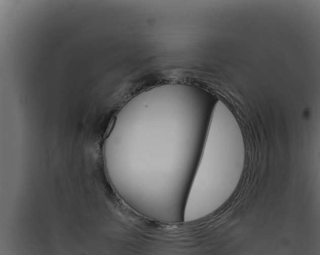 X0000090430611200707131010