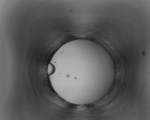 X0000090430612200707131010