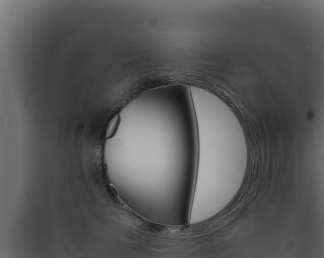 X0000090430613200707131010