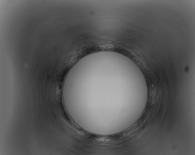 X0000090430614200707131009