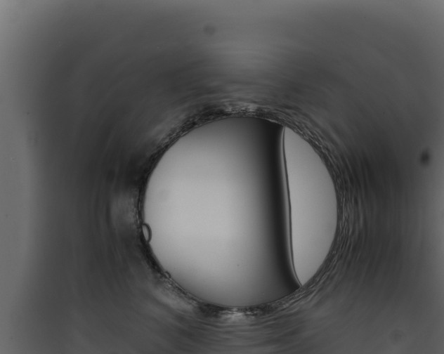 X0000090430616200707131009