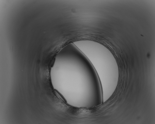 X0000090430617200707131009
