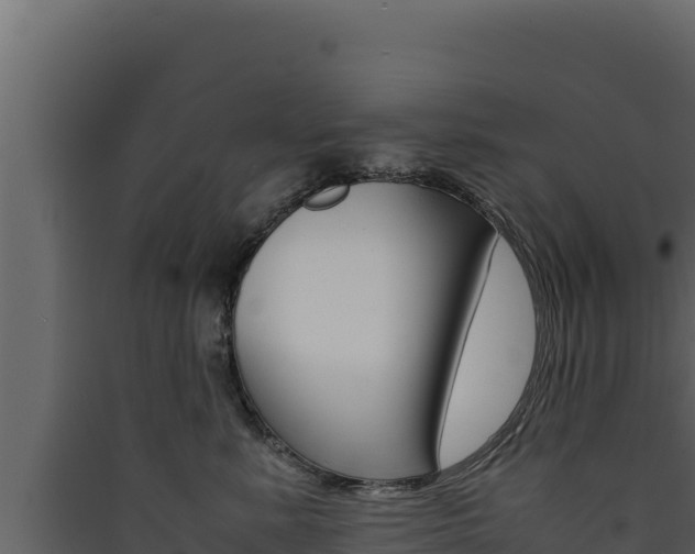 X0000090430619200707131009