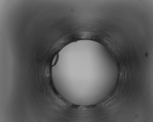 X0000090430620200707131009
