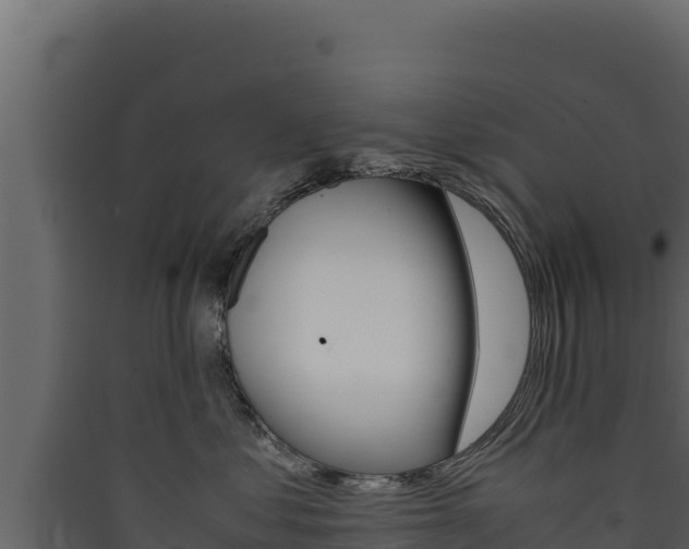 X0000090430621200707131009