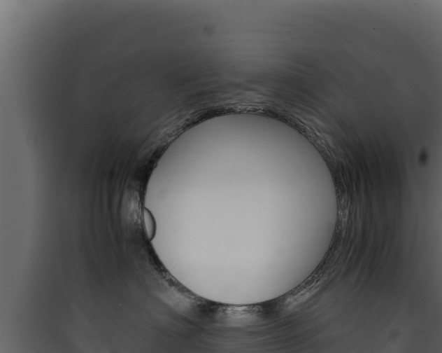 X0000090430622200707131009