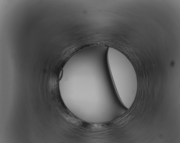 X0000090430623200707131009