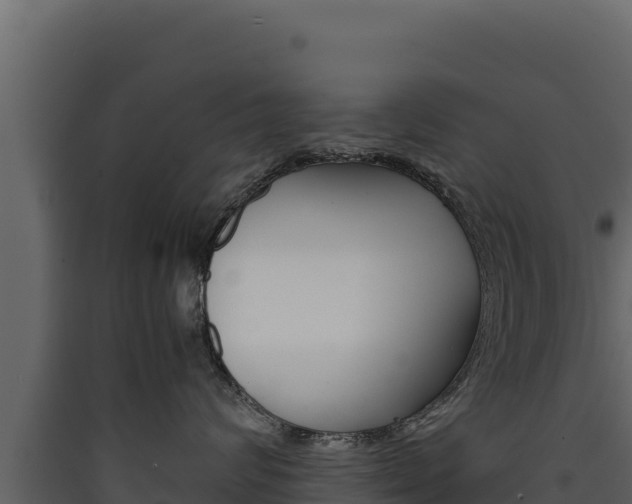 X0000090430624200707131009