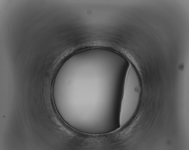 X0000090430625200707131009