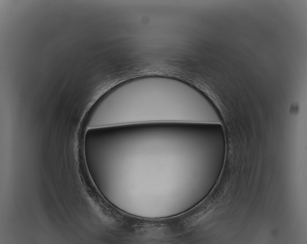X0000090430626200707131009