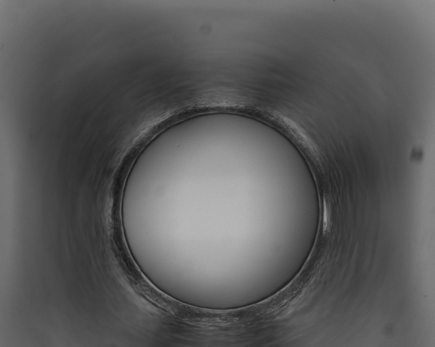 X0000090430627200707131009