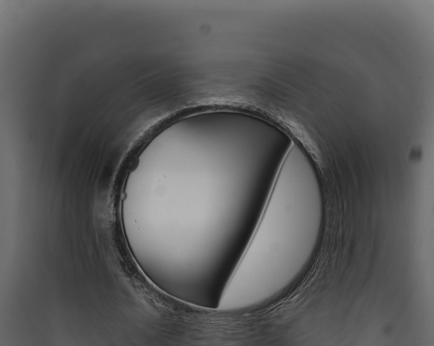 X0000090430628200707131009