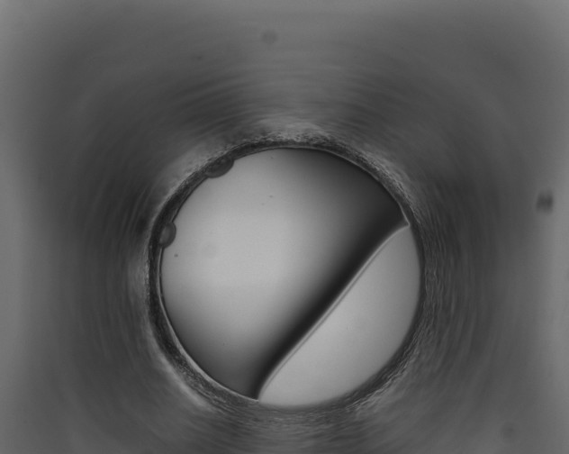 X0000090430630200707131009
