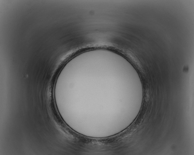 X0000090430632200707131009