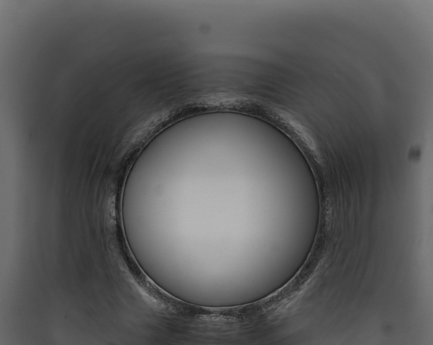 X0000090430633200707131009