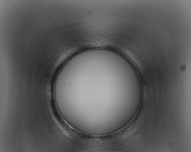 X0000090430634200707131009