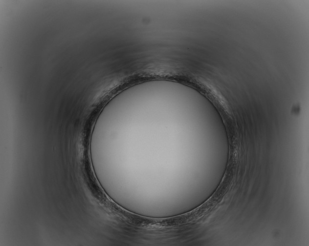 X0000090430635200707131009