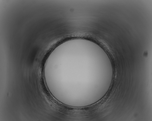 X0000090430636200707131009
