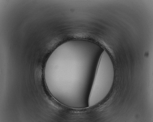 X0000090430637200707131009