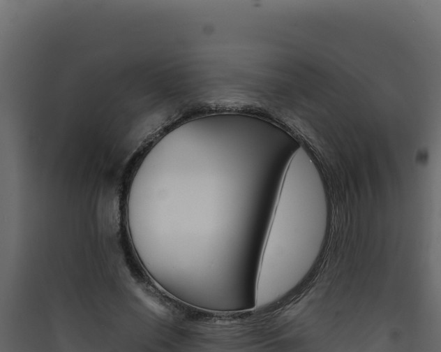 X0000090430638200707131009