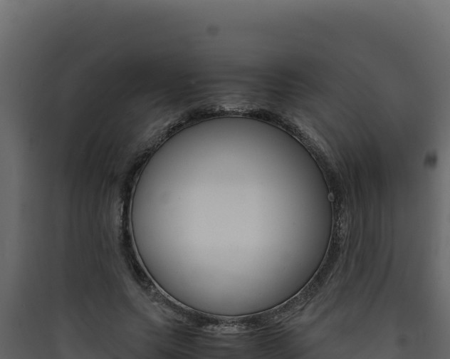 X0000090430639200707131009