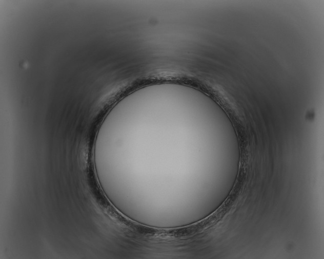 X0000090430640200707131009