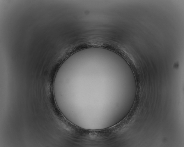 X0000090430641200707131009