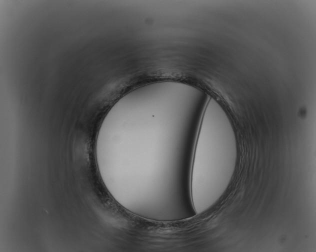 X0000090430643200707131009
